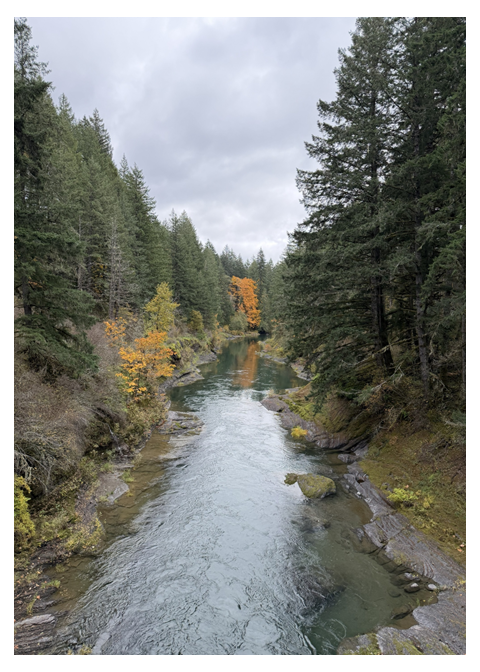 Autumn Current – Photo Cover Notepad – 5 × 7