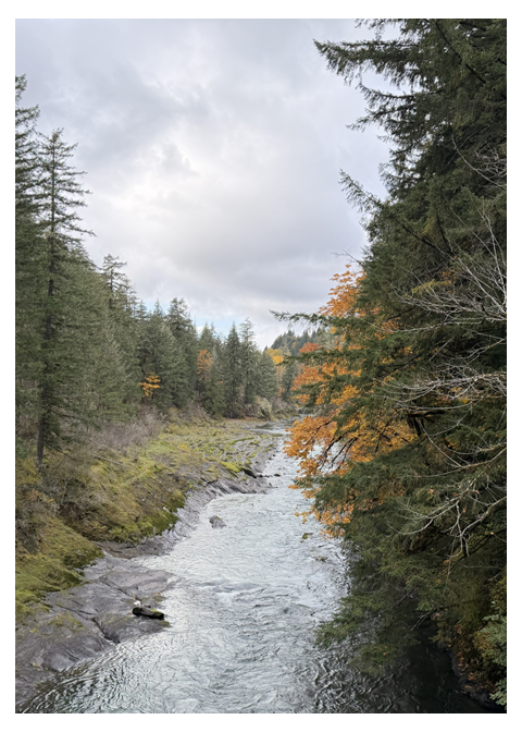 Autumn Passage – Photo Cover Notepad – 5 × 7