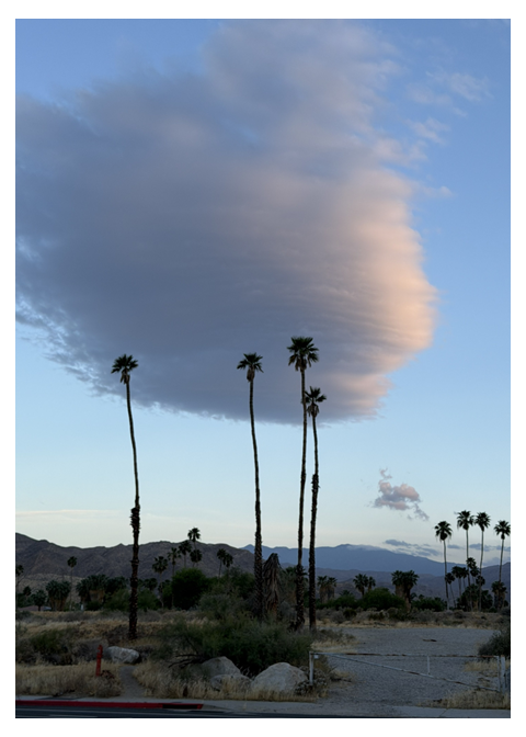 Desert Halo – Photo Cover Notepad – 5 × 7