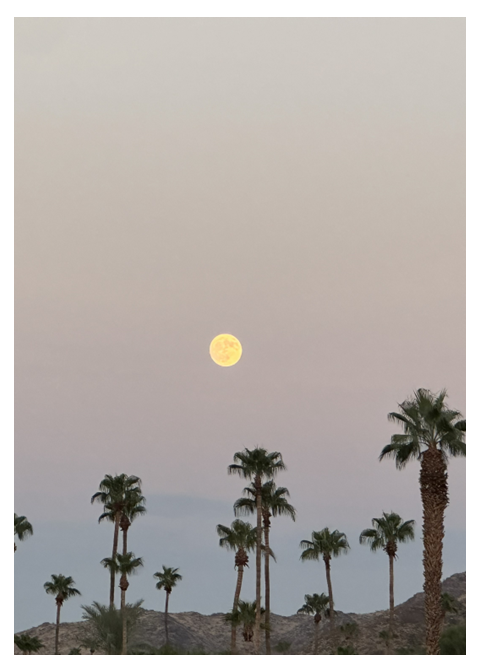 Desert Moonrise – Photo Cover Notepad – 5 × 7