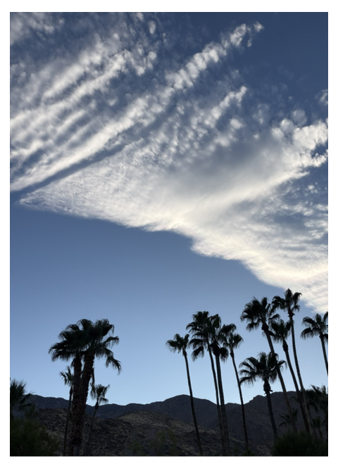 Feathered Sky – Photo Cover Notepad – 5 × 7