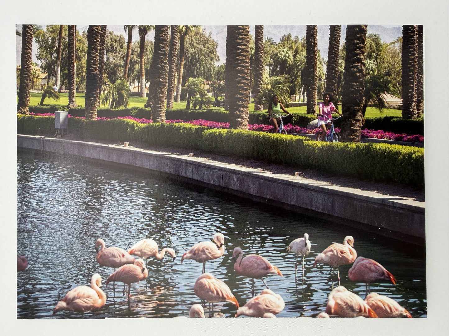Flamingo Oasis – One-of-a-Kind Repurposed Notepad – 7 × 5 Landscape