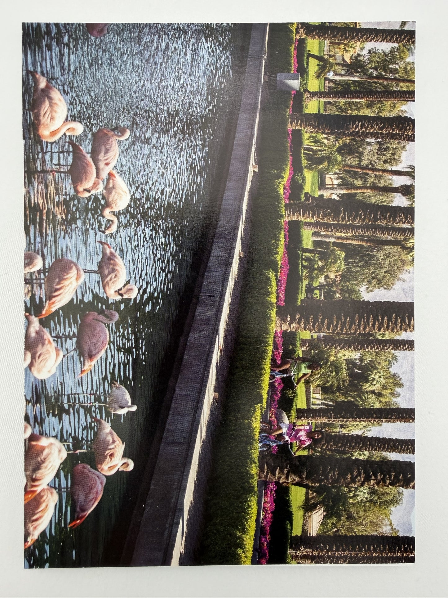 Flamingo Oasis – One-of-a-Kind Repurposed Notepad – 7 × 5 Landscape