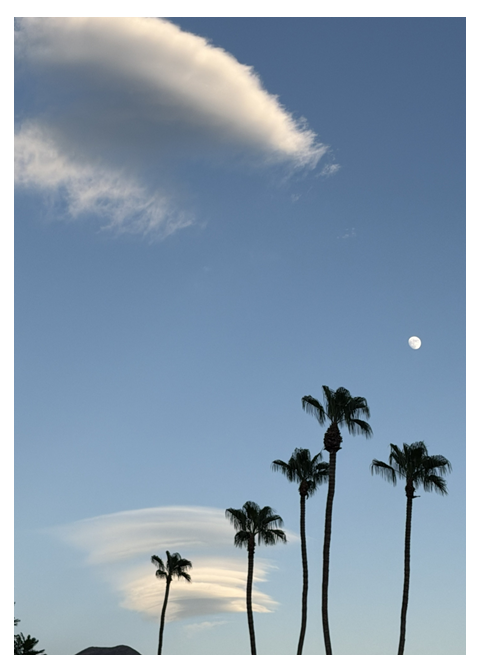 Moonlit Drift – Photo Cover Notepad – 5 × 7
