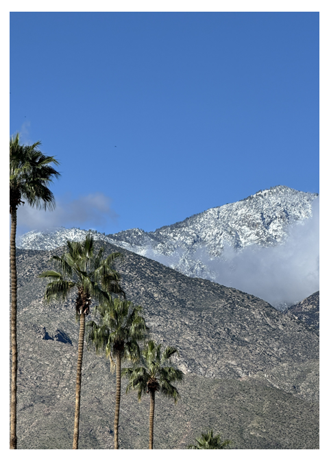 Snow Above the Palms – Photo Cover Notepad – 5 × 7