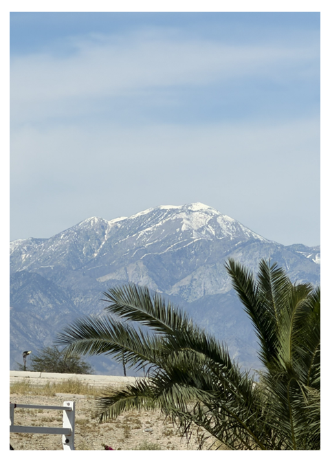 Where Palms Meet Snow – Photo Cover Notepad – 5 × 7